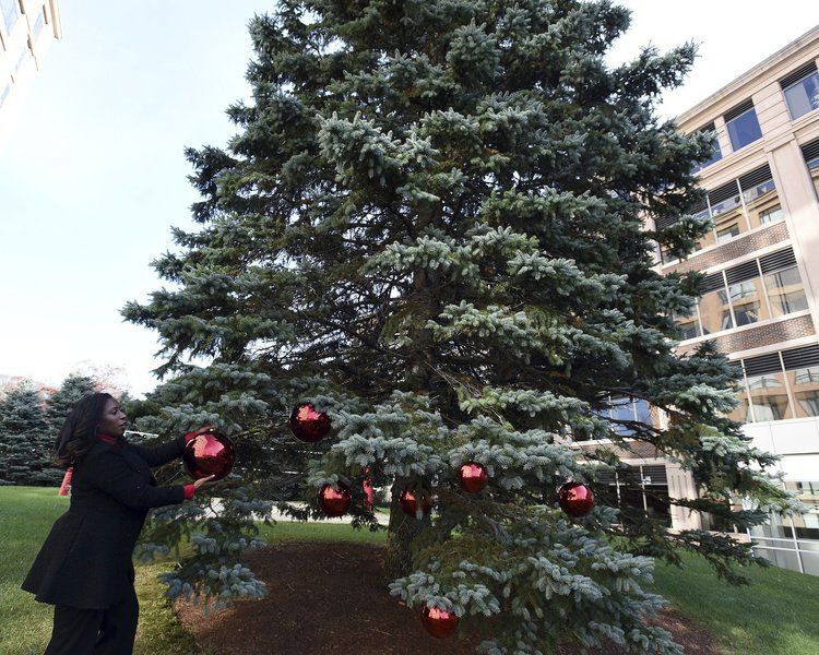 Tree lighting returns to Brickstone Square Merrimack Valley