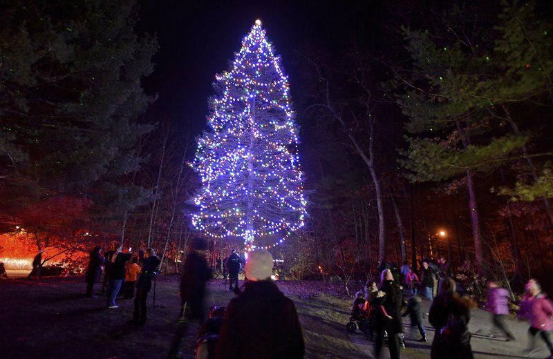 catchy collections of christmas tree salem new hshire catchy collections of christmas tree salem new hshire