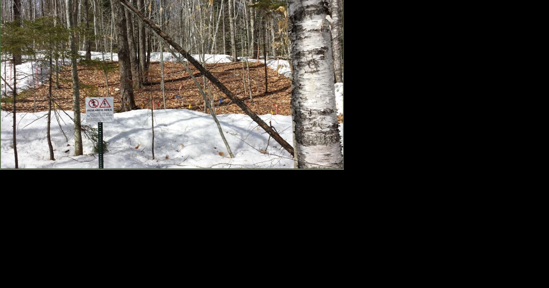 Research center spared Forest Service cuts