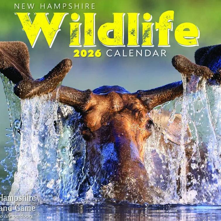 Haverhill Police Department mourns the unattended death of a female