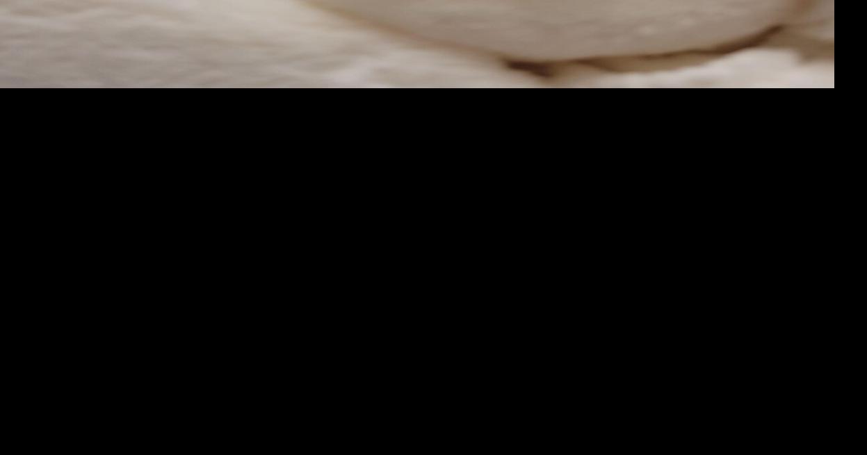 For a good view of wildlife, stay put