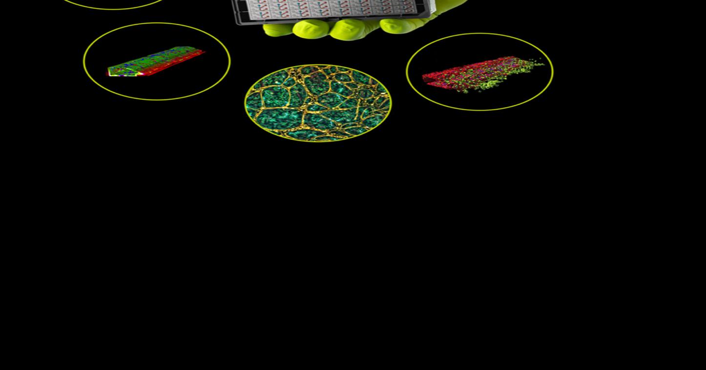 Bruker Announces Majority Investment in MIMETAS to Advance Human Physiology-Relevant Drug Discovery and Development
