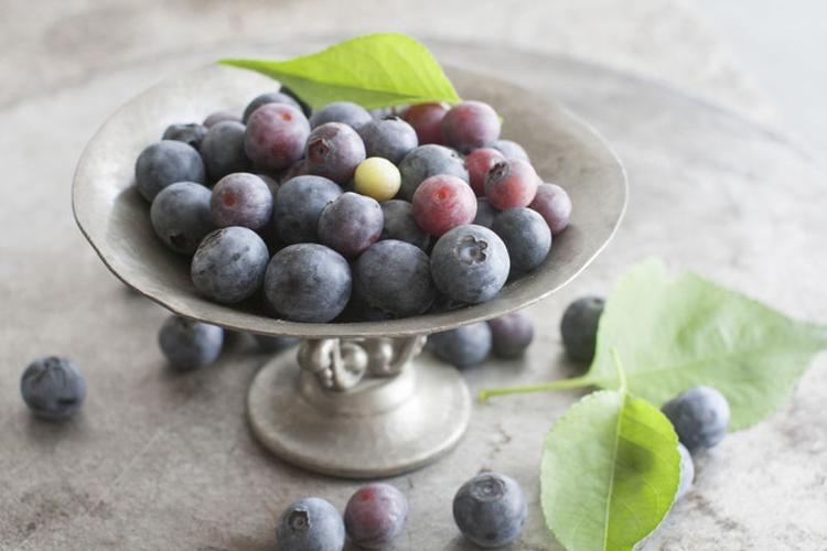 Meet The 9 Best Fruits From Blox Fruits - News Geek
