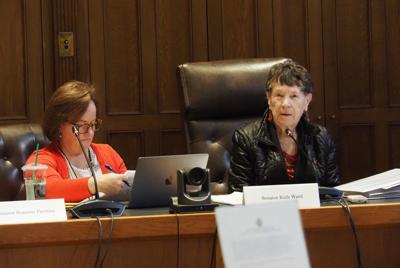 Sen. Suzanne Prentiss, a Lebanon Democrat (left) and Sen. Ruth Ward