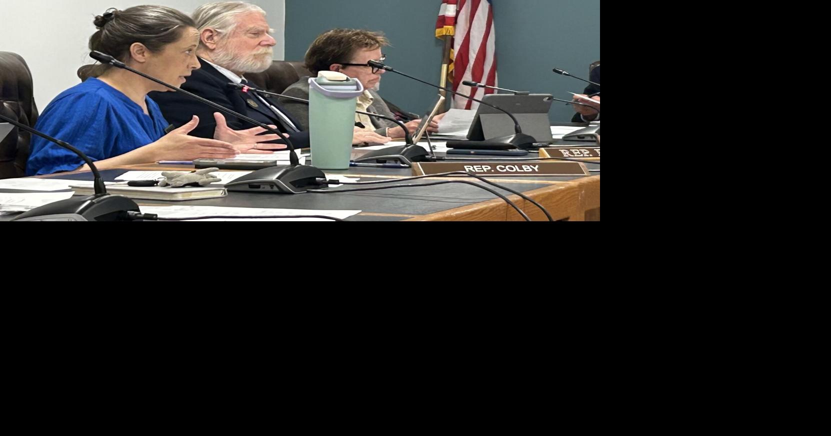 GOP moves to protect NH data center construction