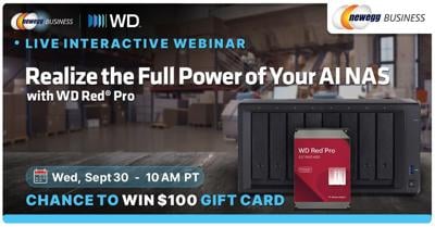 Newegg Business Partners with Western Digital to Help IT Teams Scale Storage for AI-Driven NAS Environments