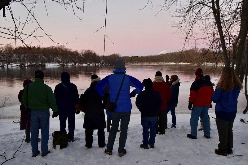 Visit Of 15 000 Crows To Lawrence Fascinates Researchers Bird