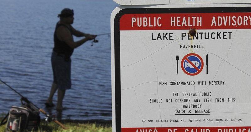 Warning: Eating freshwater fish can be dangerous to your health | News | eagletribune.com