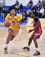 NECC men and women host tourney doubleheader on Thursday