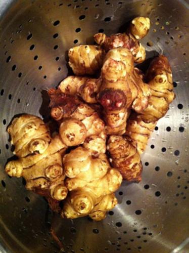 A Tuber For Thanksgiving | Lifestyle | Eagletribune.com