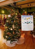 Stroll and hunt (for eggs) in Haverhill