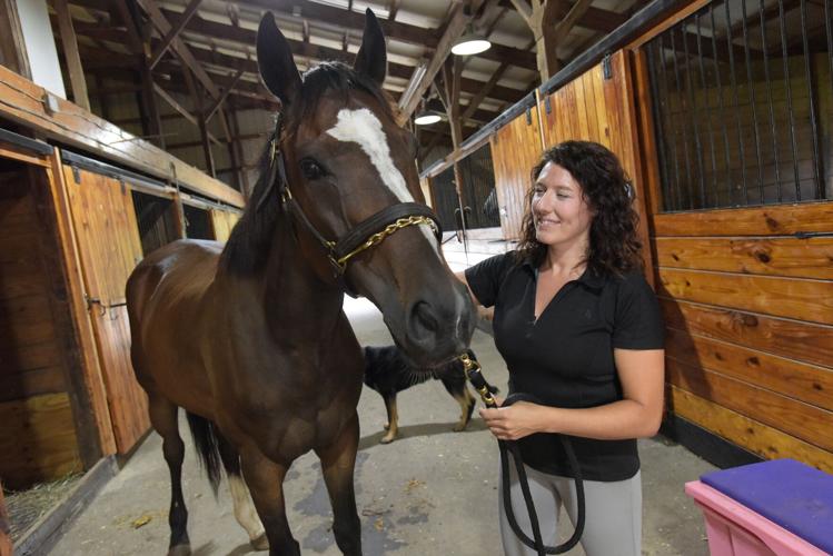 'I love how honest horses are' Andover Equestrian owner transforms