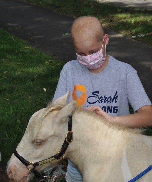 Mini Horse House Call Cheers Young Cancer Patient Merrimack Valley Eagletribune Com