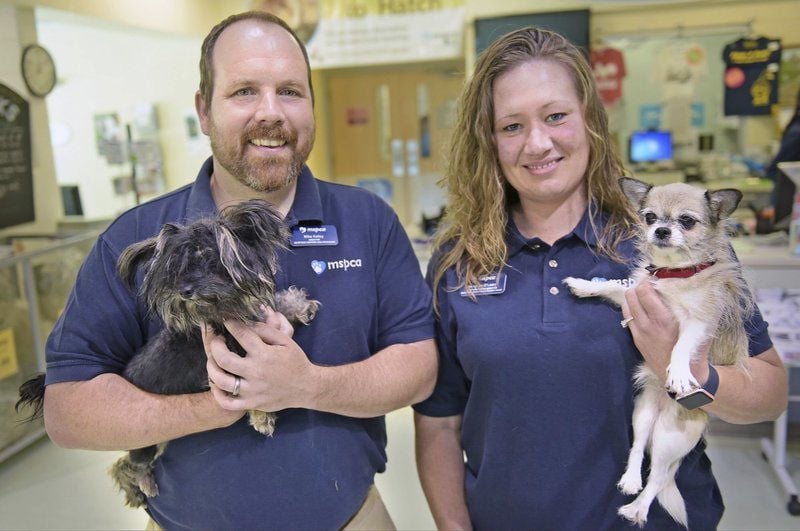 Advocates for animals: Two promoted at MSPCA | Merrimack ...