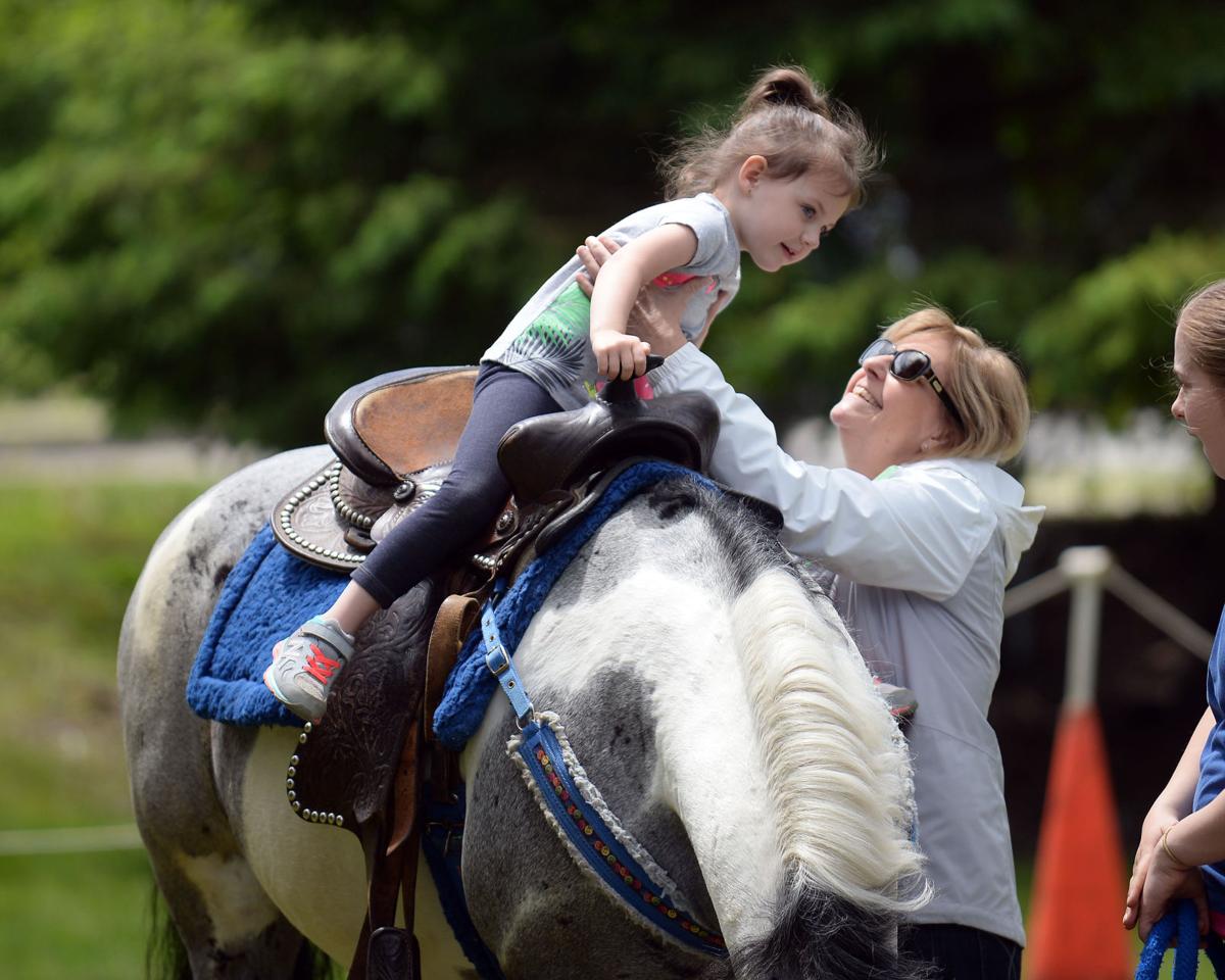 North Andover Sheep Shearing Festival Gallery