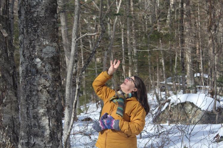 Appalachian Mountain Club senior scientist Georgia Murray