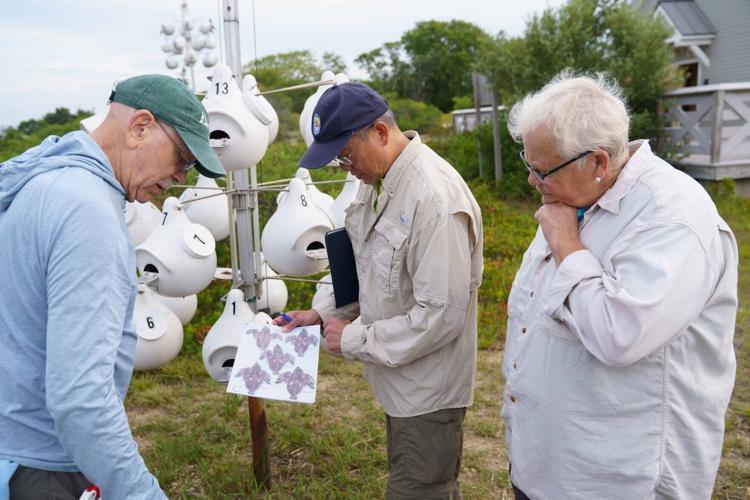 Purple martin team checks out gourds