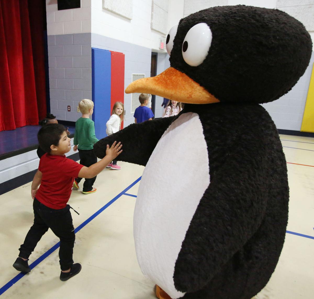JiJi the Penguin