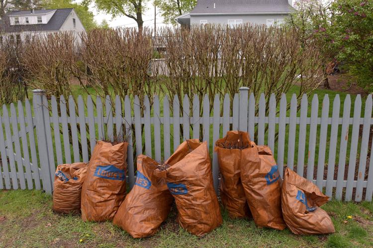 brown paper garbage bag yard garden
