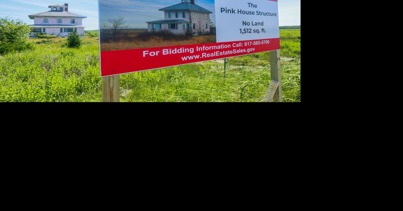 Pink House auction starts Wednesday