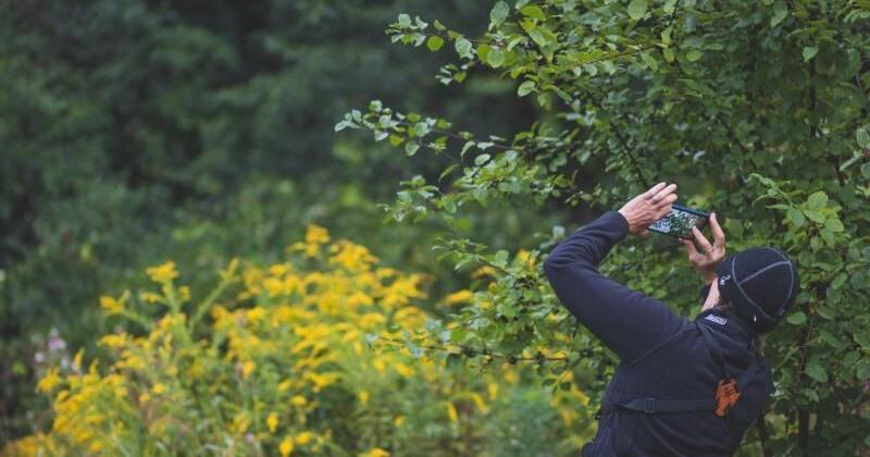 Get back to nature at Derry 'BioBlitz'