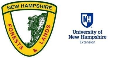 Partnership for NH forests celebrates 100 years