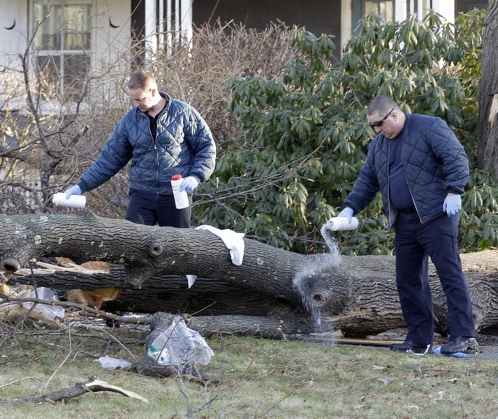 Man Pinned Under Tree Limb Dies Local News