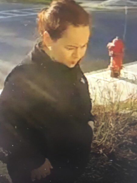 Newburyport police seek help to ID package thief - Vimarsana News