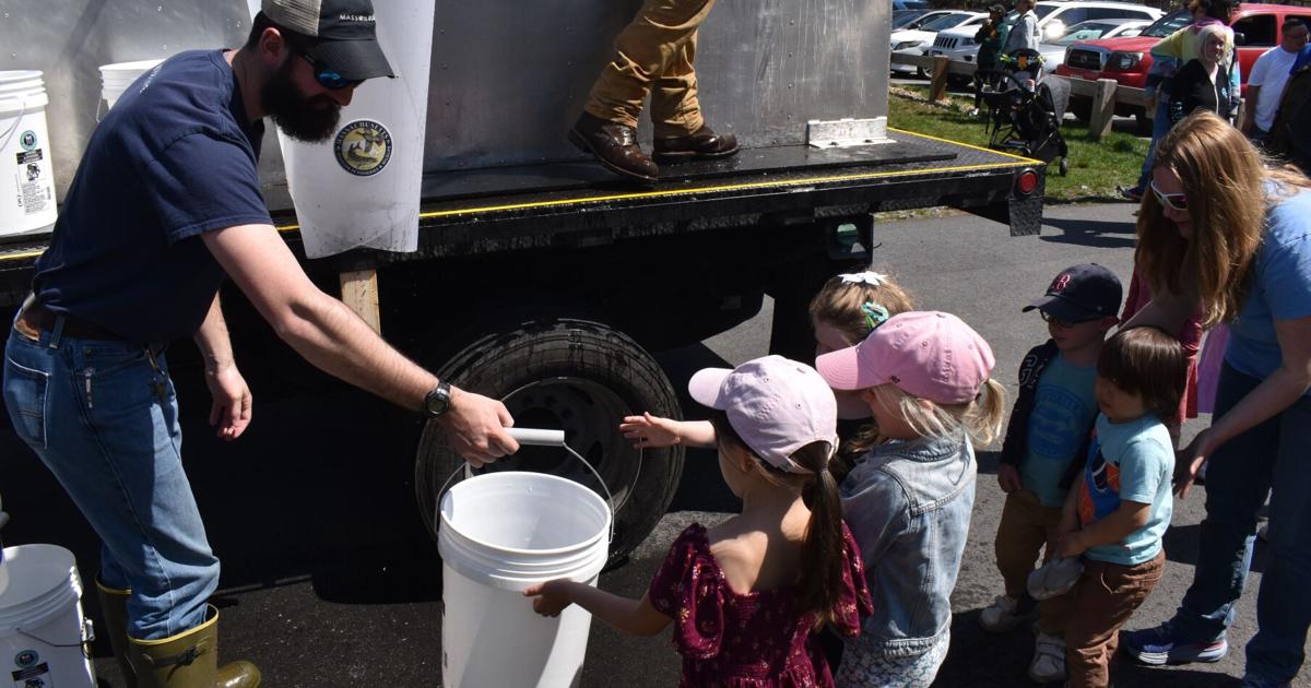 Fish Restocking Fresh fish: Restocking of trout makes a big splash at Plug Pond ...