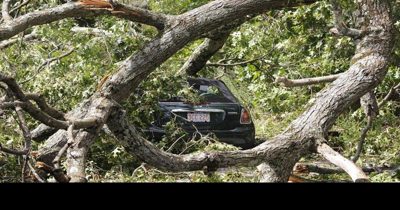 Driver unharmed after tree lands on car | News | eagletribune.com