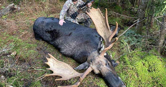 Enter the 2026 New Hampshire Moose Hunt Lottery | | eagletribune.com