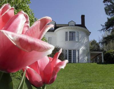 Check This Out Tiptoe Through The Tulips At Stevens Coolidge Place