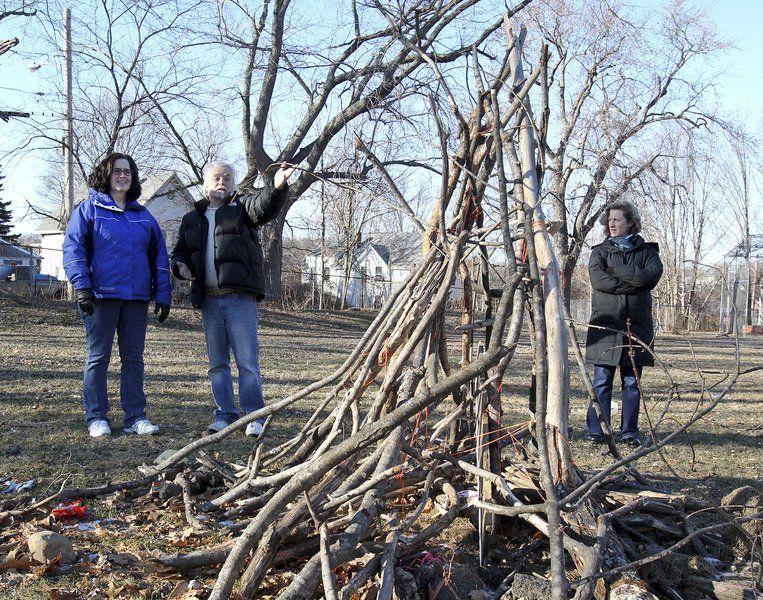 Goats to eat away poison ivy at park Haverhill