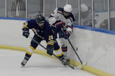 Mvc Dcl Boys Hockey Honors Local Sports Eagletribune Com