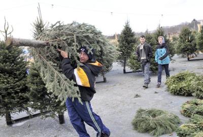 From A Handshake To A Hug Christmas Tree Relationship Grows Eagletribune Com