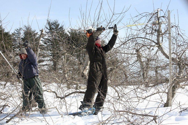 Farmer snow tabs как открыть