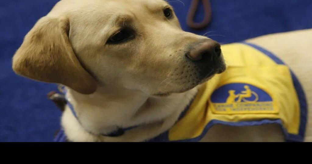 Real estate Q&A Can my building ban emotional support animals? Homes