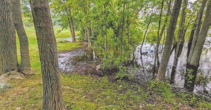 Country club starts process of town approval to cut trees