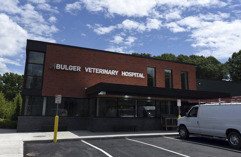 Animal Hospital Readies Move To New Quarters Merrimack Valley