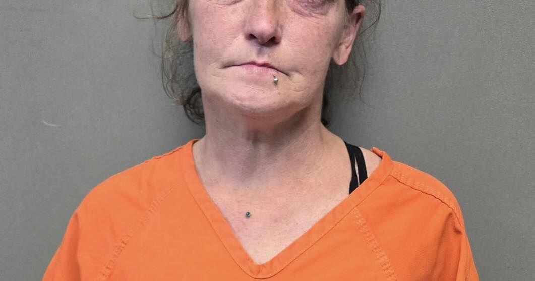 Jasper Woman Arrested on Drug Charges Following Traffic Stop on FM 2799 ...