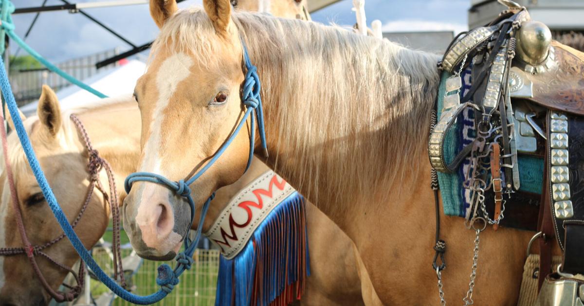 Email Rodeo Rodeo 2025 | | easttexastoday.com
