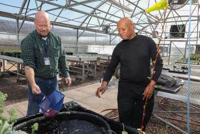 Building The Better Fishbowl Aquaponics Combines Fish Greens To