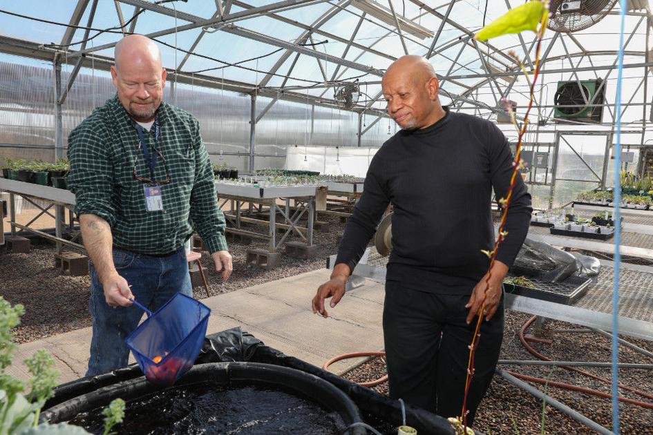 building the better fishbowl: aquaponics combines fish