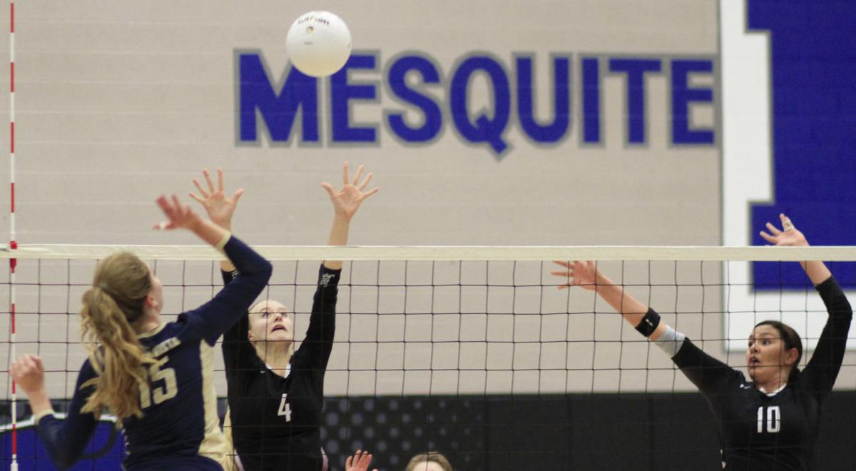 Photos DV vs Hamilton volleyball Photos & Video