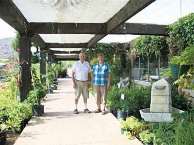 Sun Or Shade Where Is The Best Place To Plant In The Valley Ahwatukee Foothills Eastvalleytribune Com