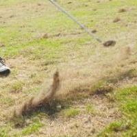 Cactus Shadows' Cantwell wins Div. II golf championship | VarsityXtra ...