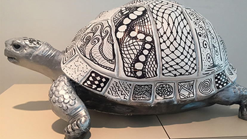 Tortoise Project & Wild at Art exhibition | Get Out | eastvalleytribune.com