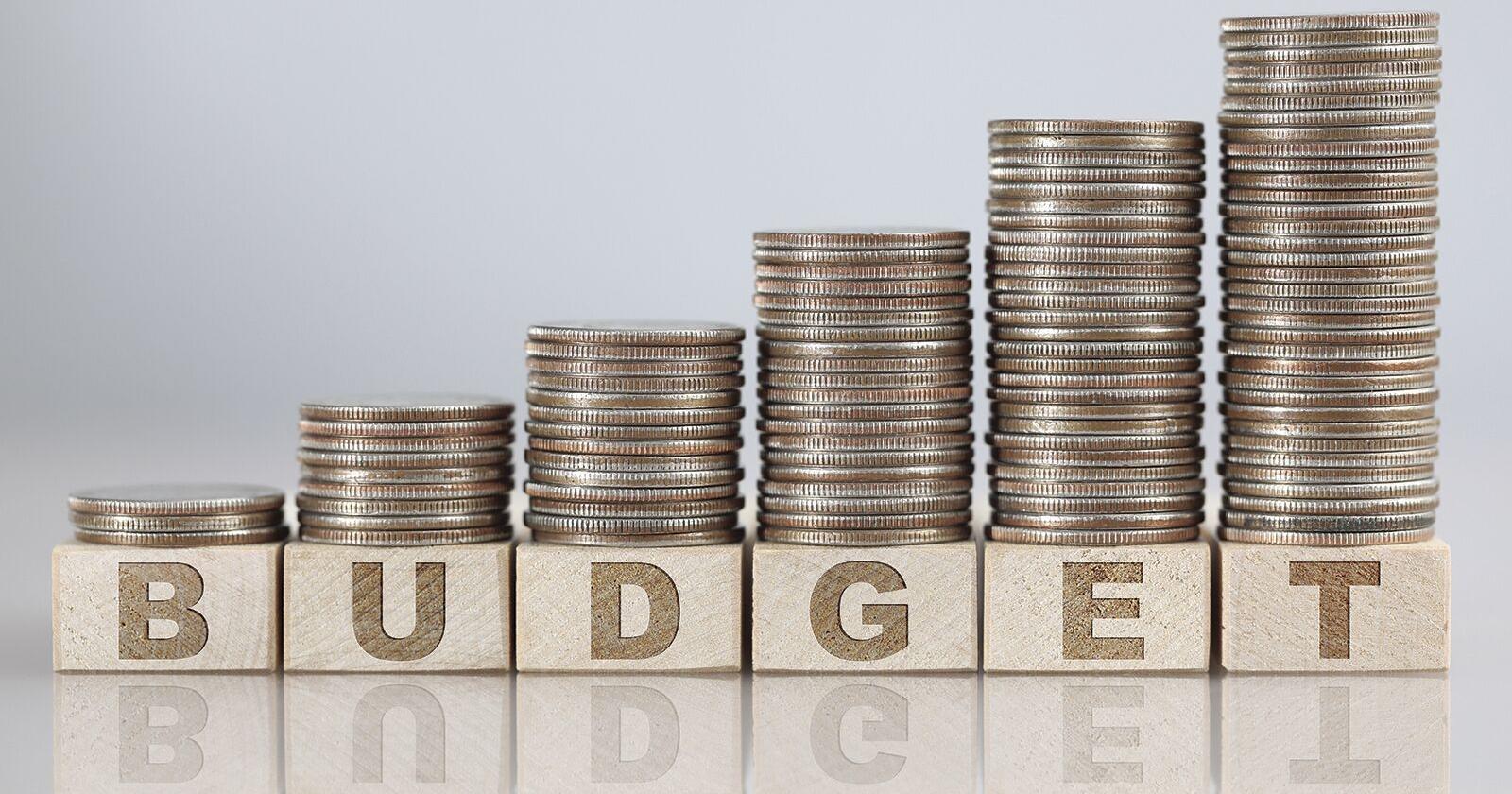Town council OKs 2024-25 budget - Vimarsana News
