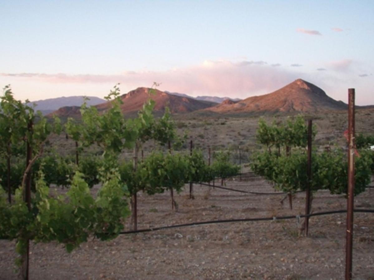 Tucson vacation guide A new take on the Old Pueblo Local Treasures