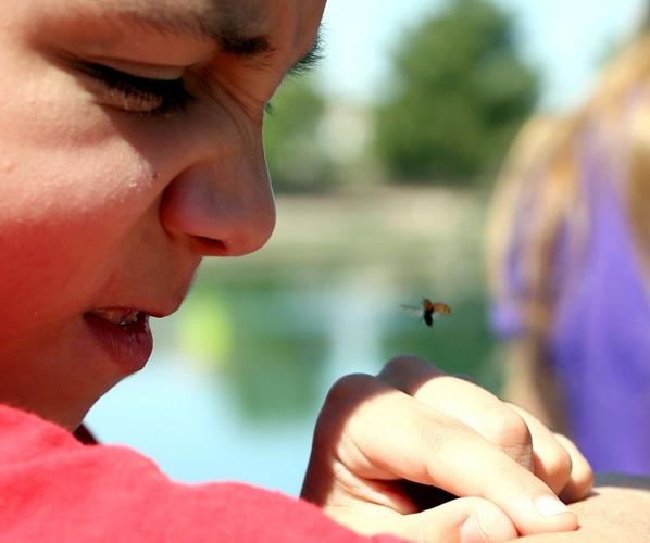 Photos Ladybug release Photos & Video